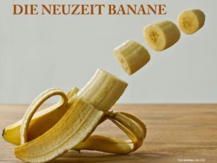 Die Neuzeit Banane